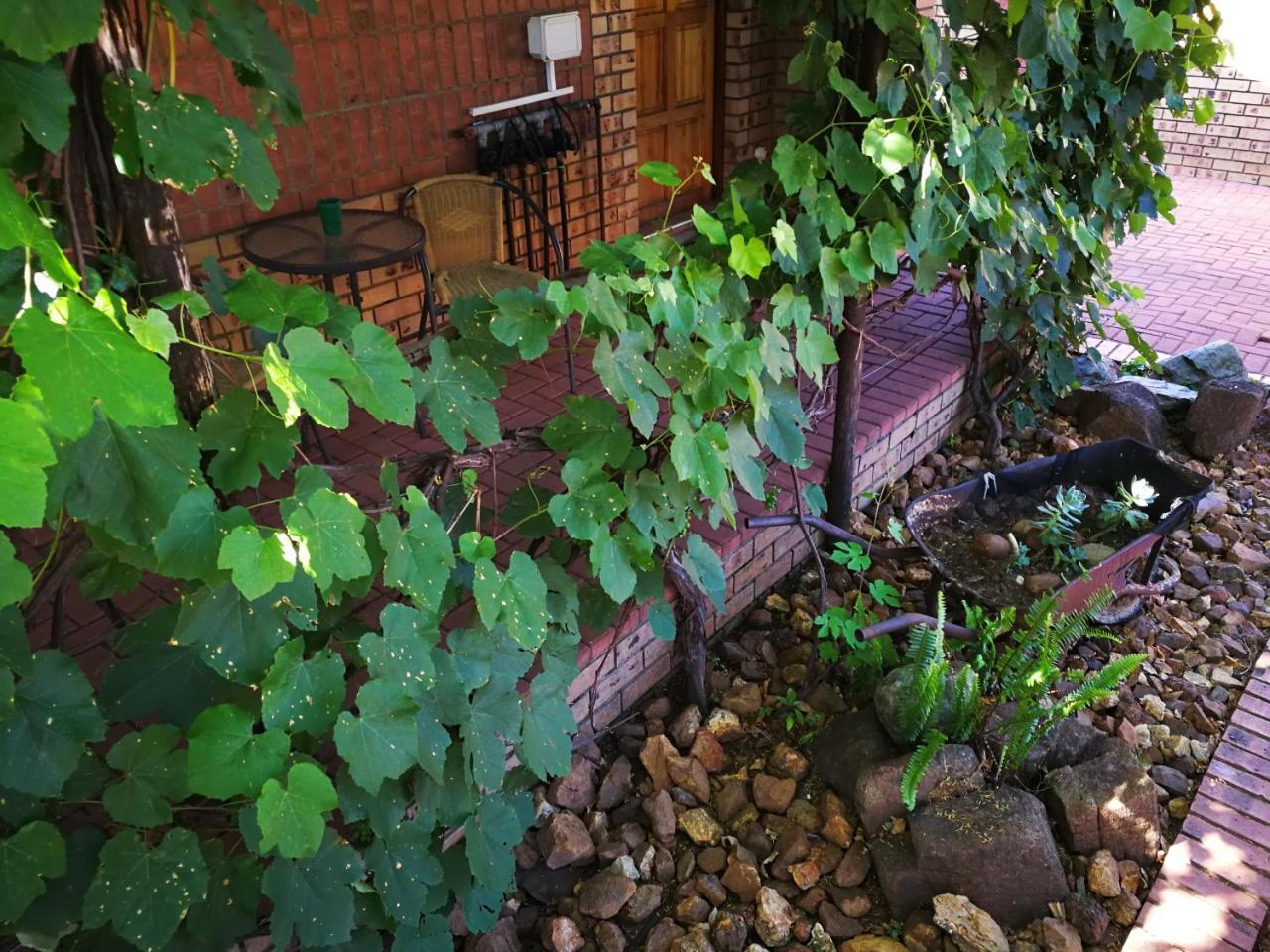 Ridderspoor Guesthouse Middelburg (Mpumalanga) Exterior foto